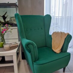 Klasyczny fotel uszak